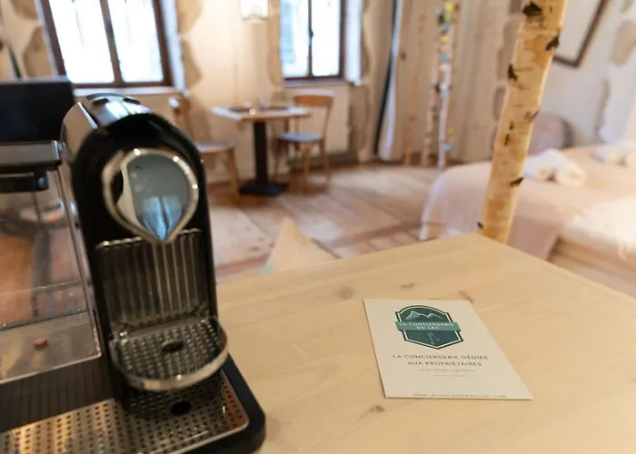 La Cour Filaterie - Suite Of 30 Sq M In The Annecy Breakfast Included